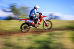 105.-Sergio-Proietti