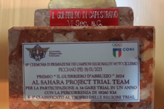 Trial Team Sahara Project 2024